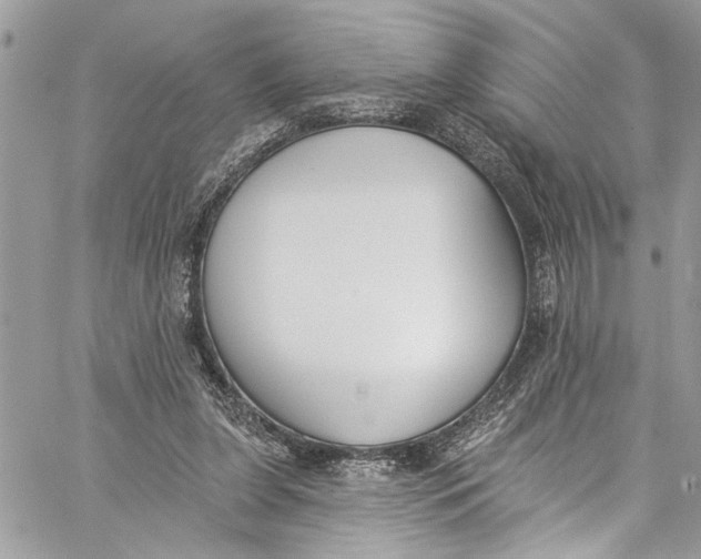 X0000060270255200511181427