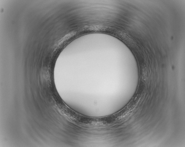 X0000060270256200511181427