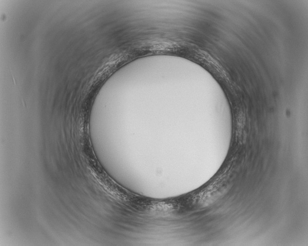 X0000060270257200511181427