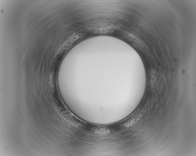 X0000060270258200511181427