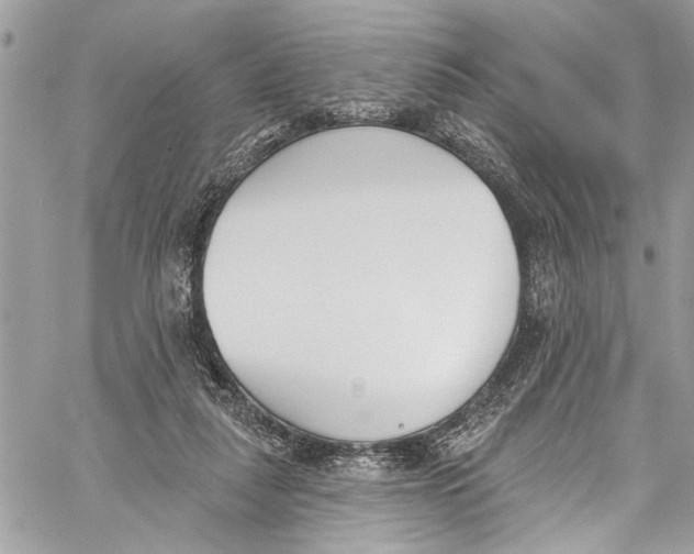 X0000060270259200511181427