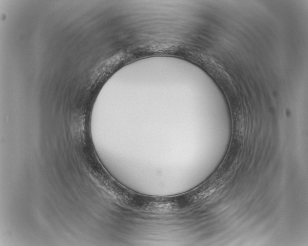 X0000060270260200511181427