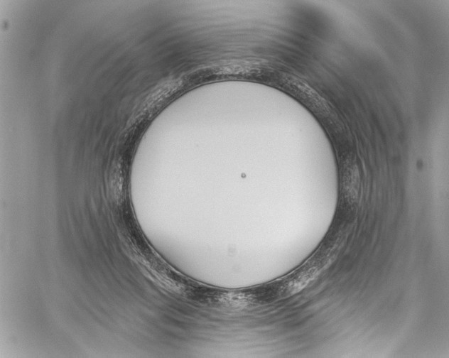 X0000060270261200511181427