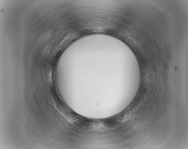 X0000060270262200511181427