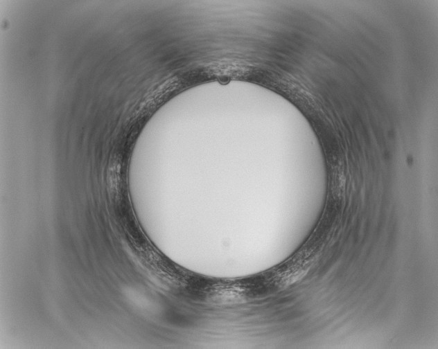 X0000060270263200511181427