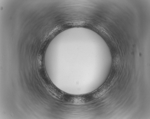 X0000060270264200511181427