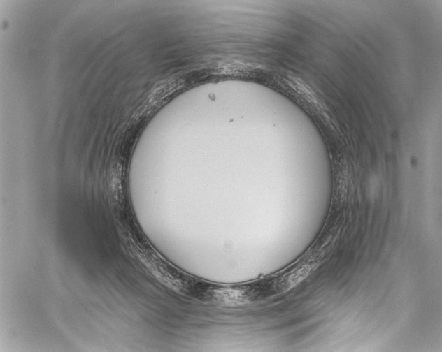 X0000060270265200511181427