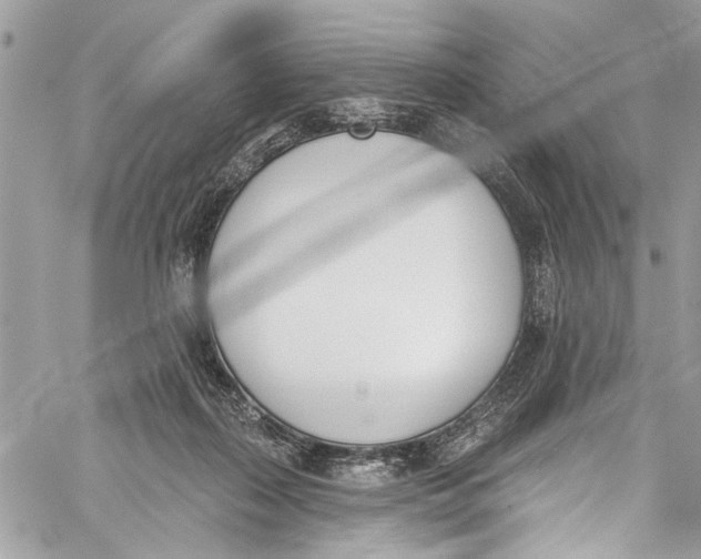 X0000060270267200511181427