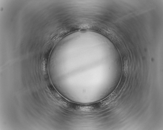 X0000060270268200511181427