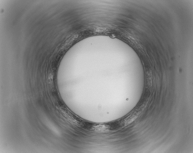 X0000060270269200511181427