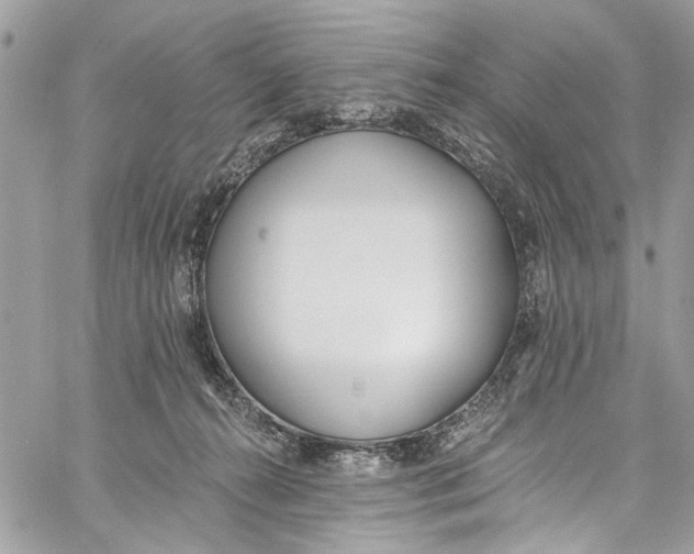 X0000060270272200511181427