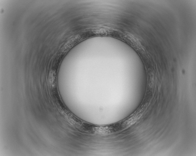 X0000060270273200511181427