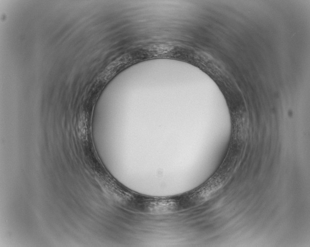 X0000060270274200511181427