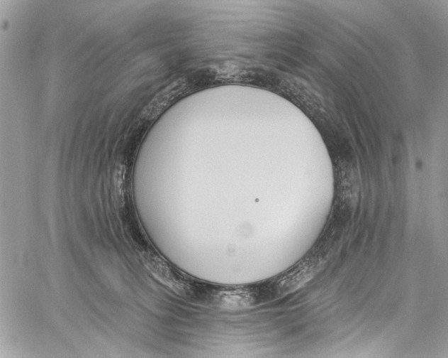 X0000060270275200511181427