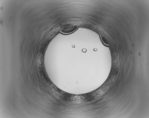 X0000060270277200511181427