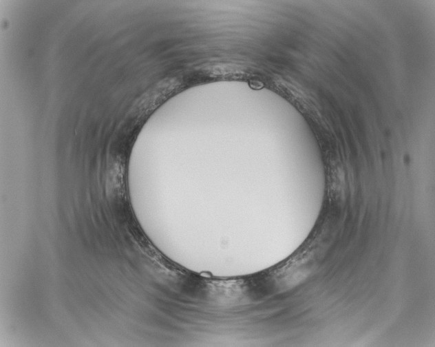 X0000060270281200511181427