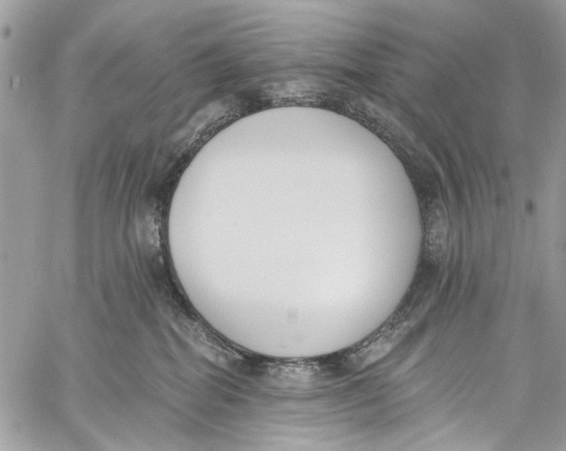 X0000060270282200511181427