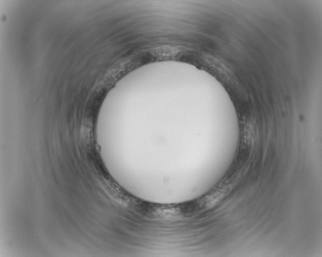 X0000060270283200511181427