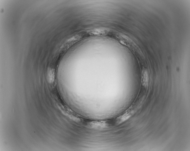 X0000060270284200511181427