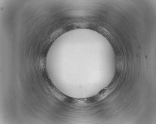 X0000060270285200511181427