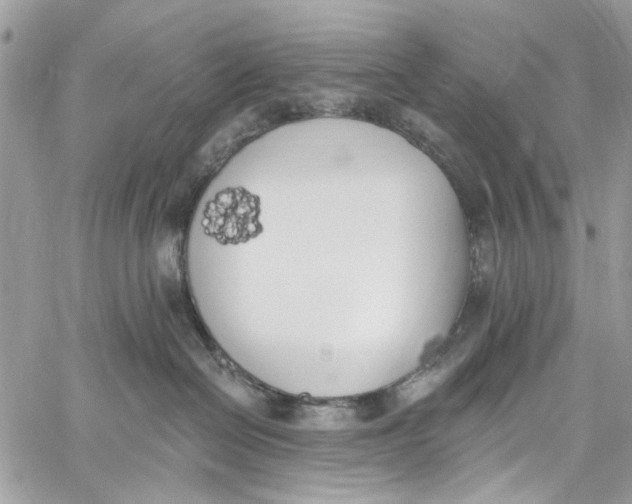 X0000060270286200511181427