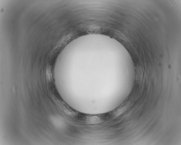 X0000060270287200511181427