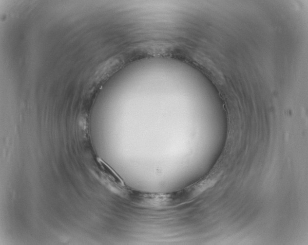 X0000060270288200511181427