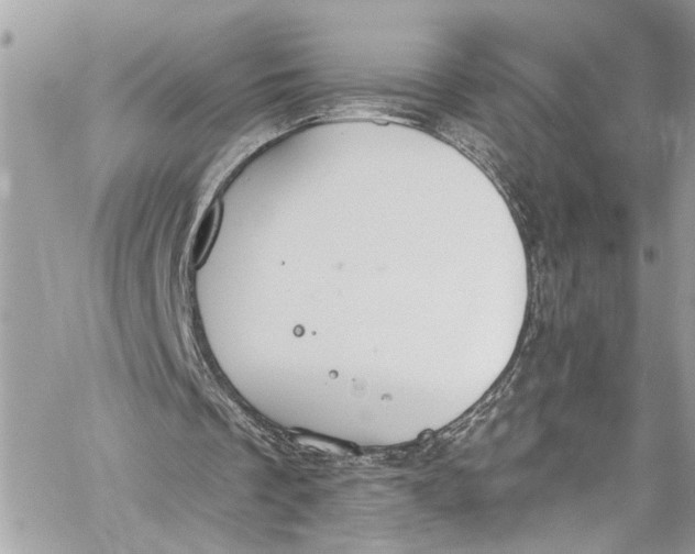 X0000060270289200511181426