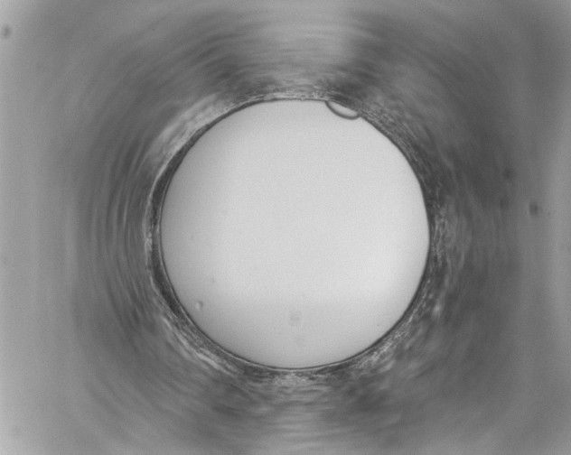 X0000060270290200511181426