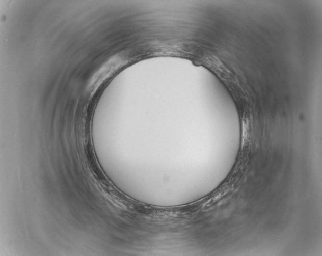 X0000060270291200511181426