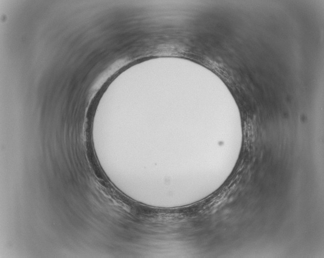 X0000060270292200511181426