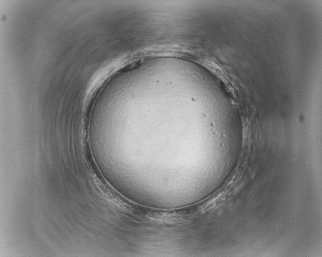 X0000060270293200511181426