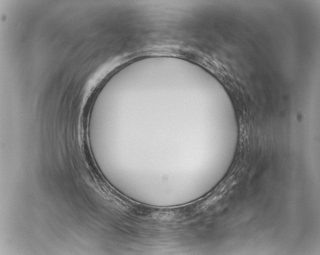 X0000060270294200511181426