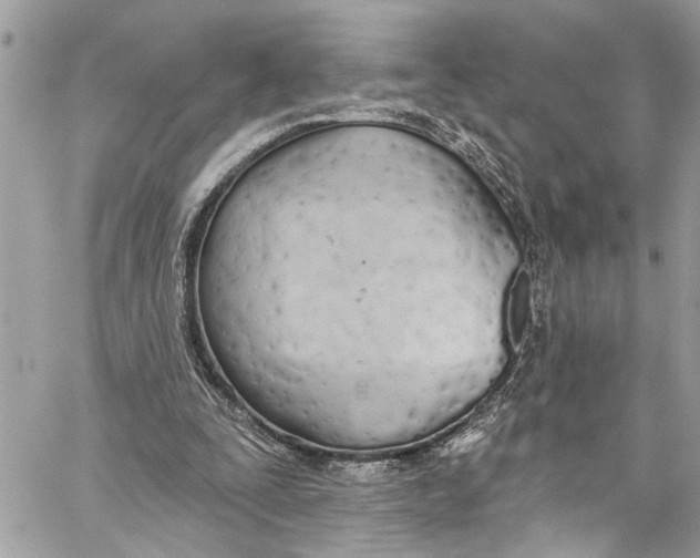 X0000060270295200511181426