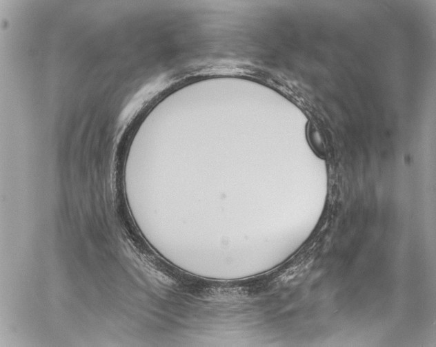 X0000060270296200511181426