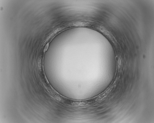 X0000060270297200511181426