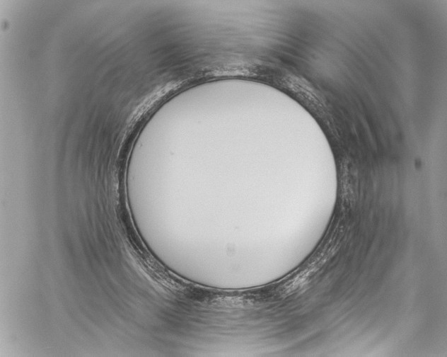 X0000060270298200511181426