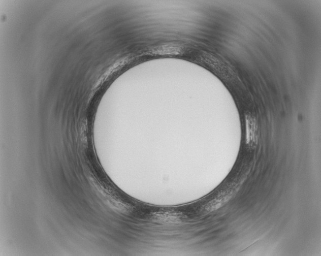 X0000060270300200511181426