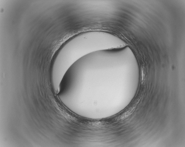 X0000060270301200511181426