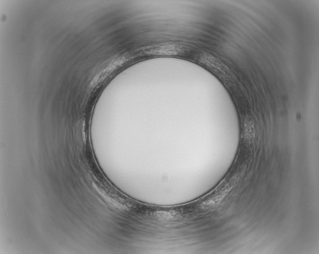 X0000060270302200511181426