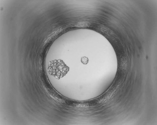 X0000060270303200511181426