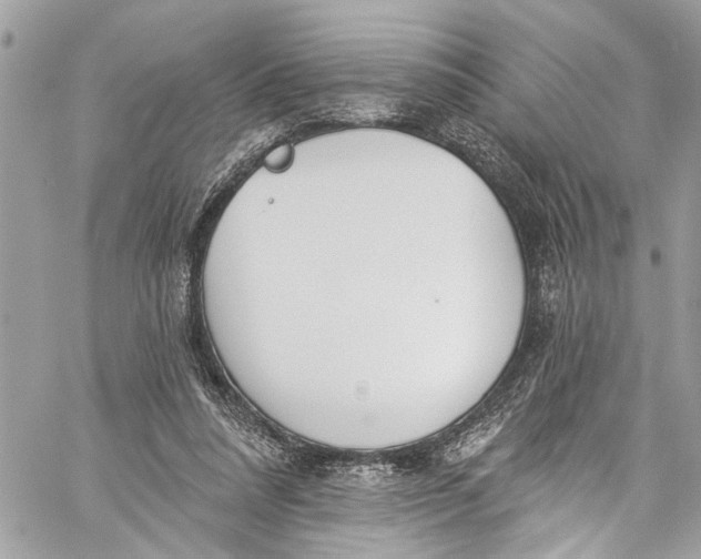 X0000060270304200511181426