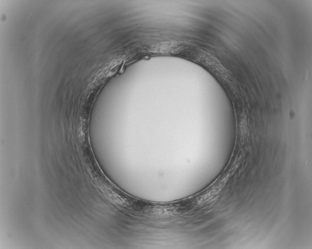 X0000060270305200511181426