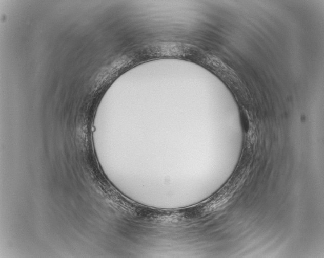 X0000060270306200511181426