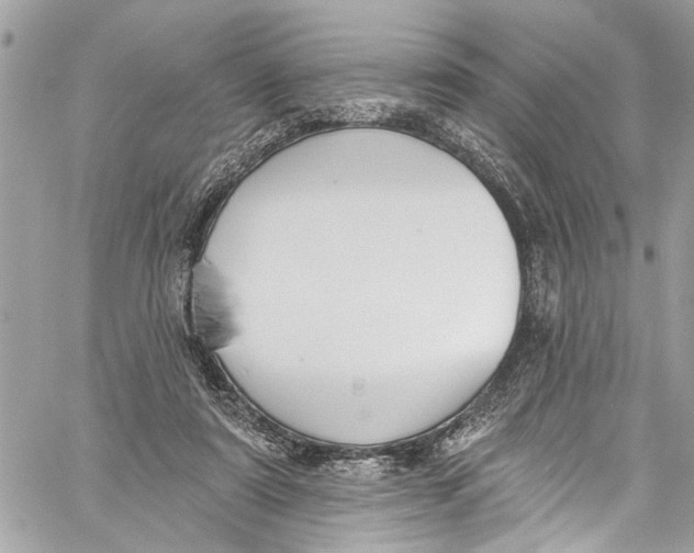 X0000060270307200511181426