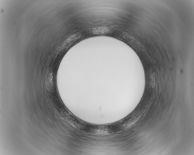 X0000060270308200511181426