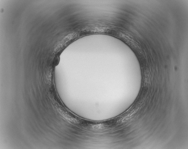 X0000060270309200511181426