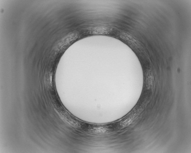 X0000060270310200511181426