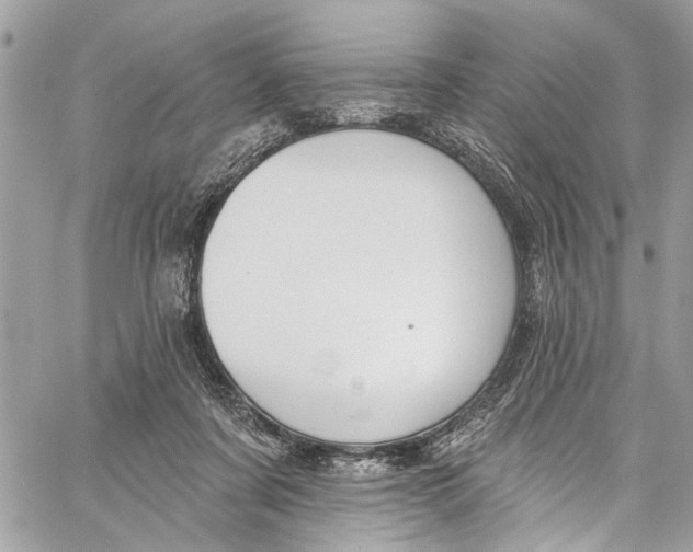 X0000060270311200511181426