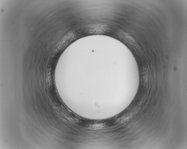 X0000060270312200511181426